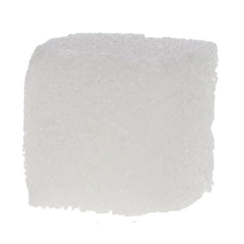 Spongostan Sponge, White, 24/Pk, MS0005